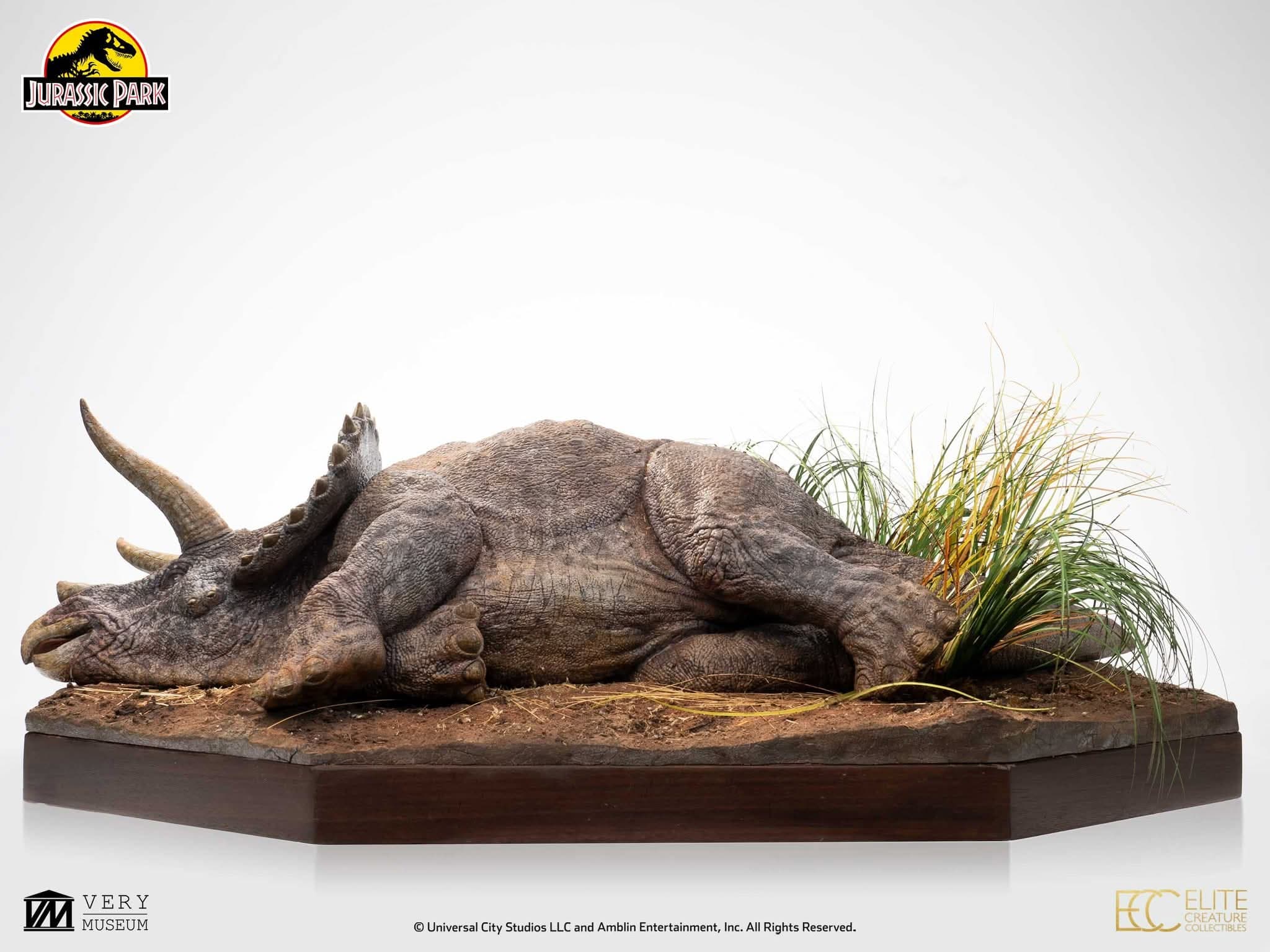 Sick Triceratops - Vue 13