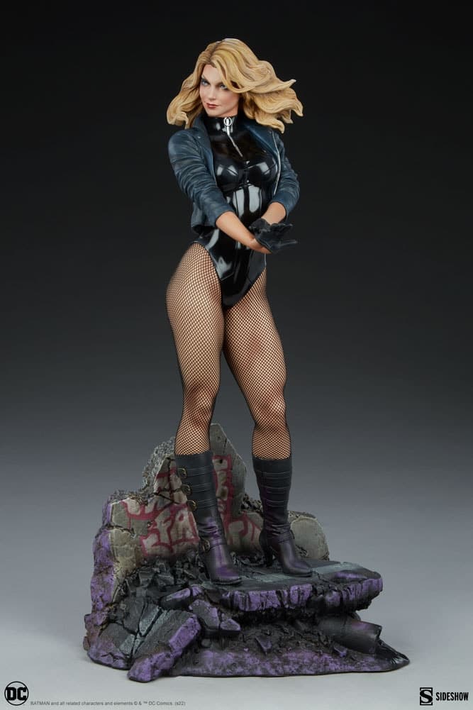 black canary - premium format - Vue 7