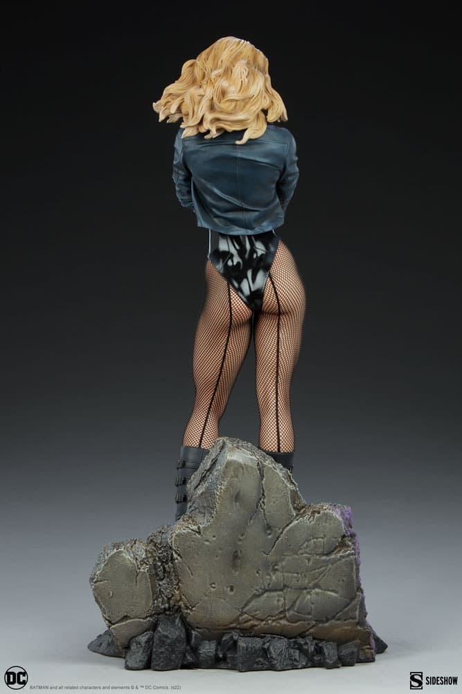 black canary - premium format - Vue 10