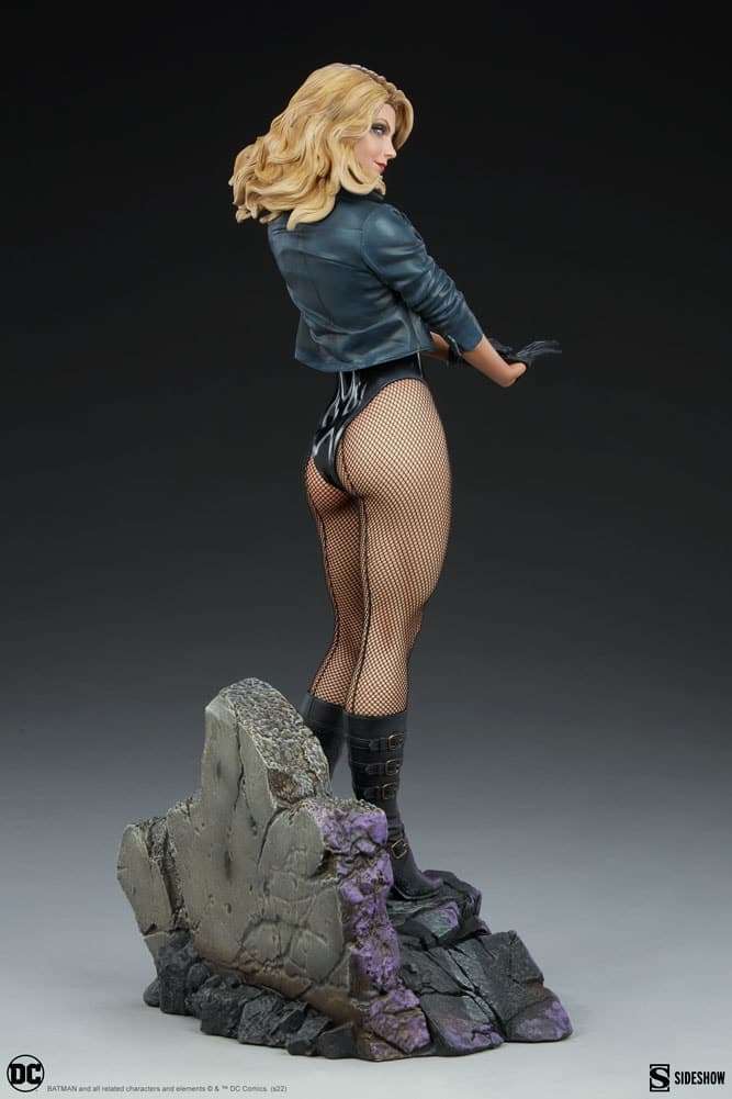 black canary - premium format - Vue 11