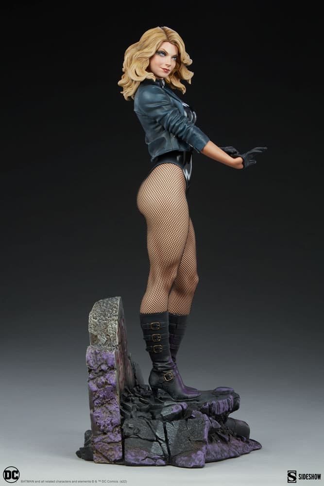 black canary - premium format - Vue 12