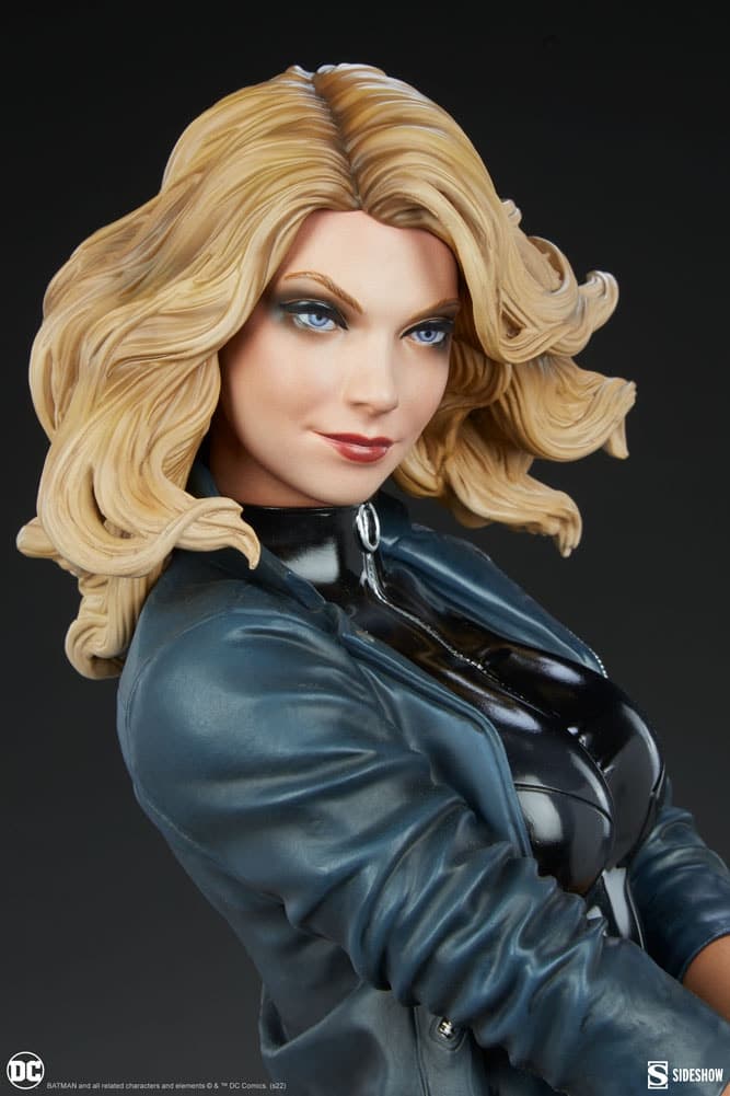 black canary - premium format - Vue 14