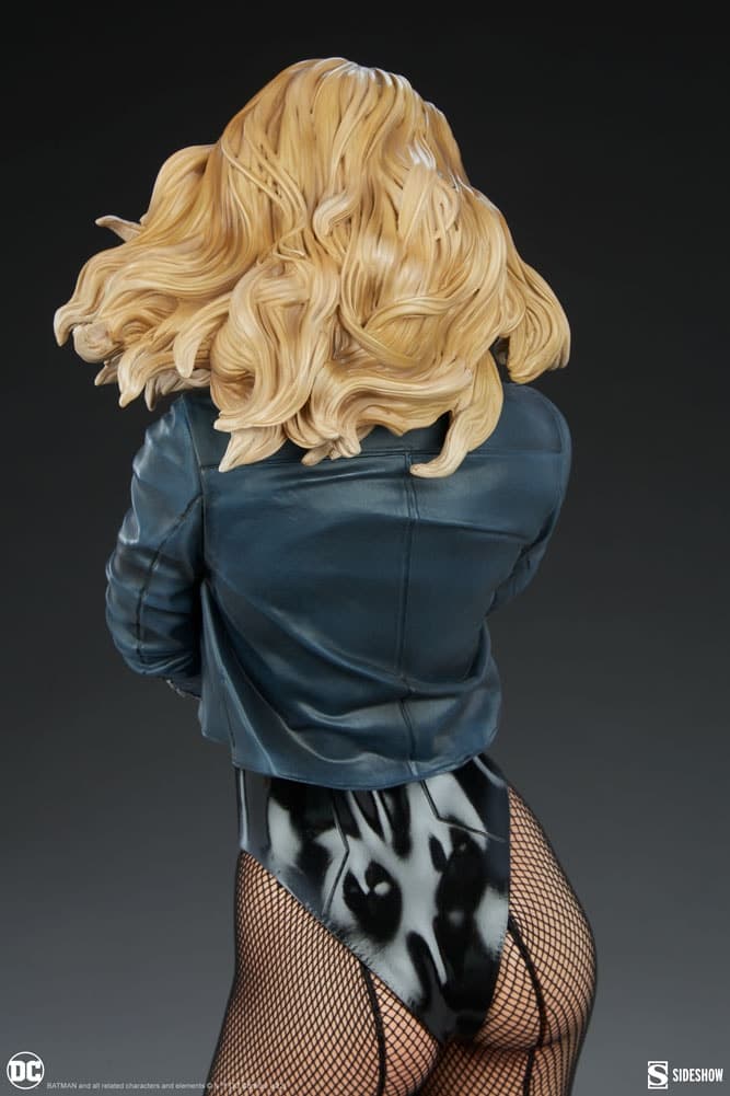 black canary - premium format - Vue 17