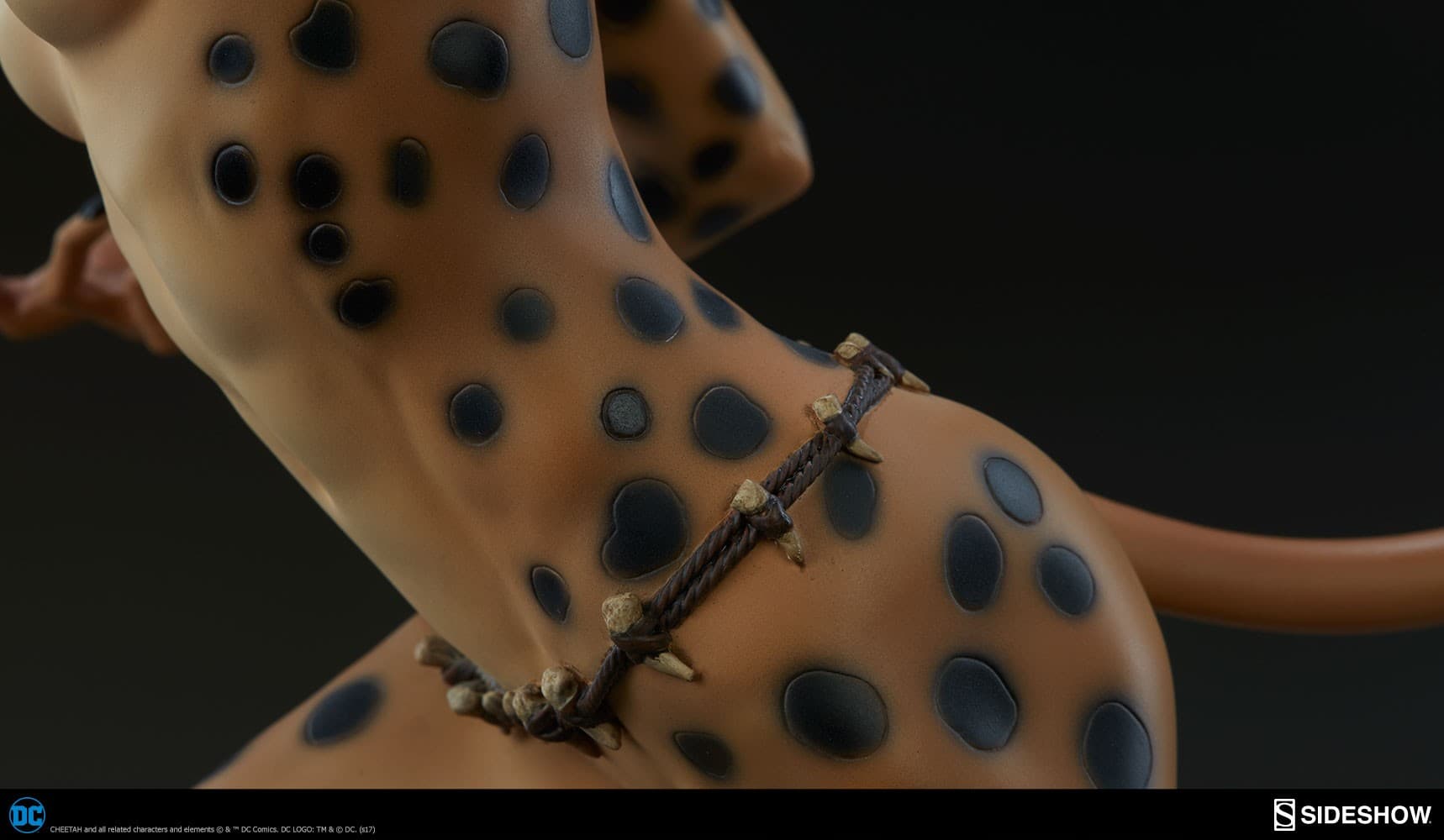 cheetah (Collector Edition) - premium format - Vue 18