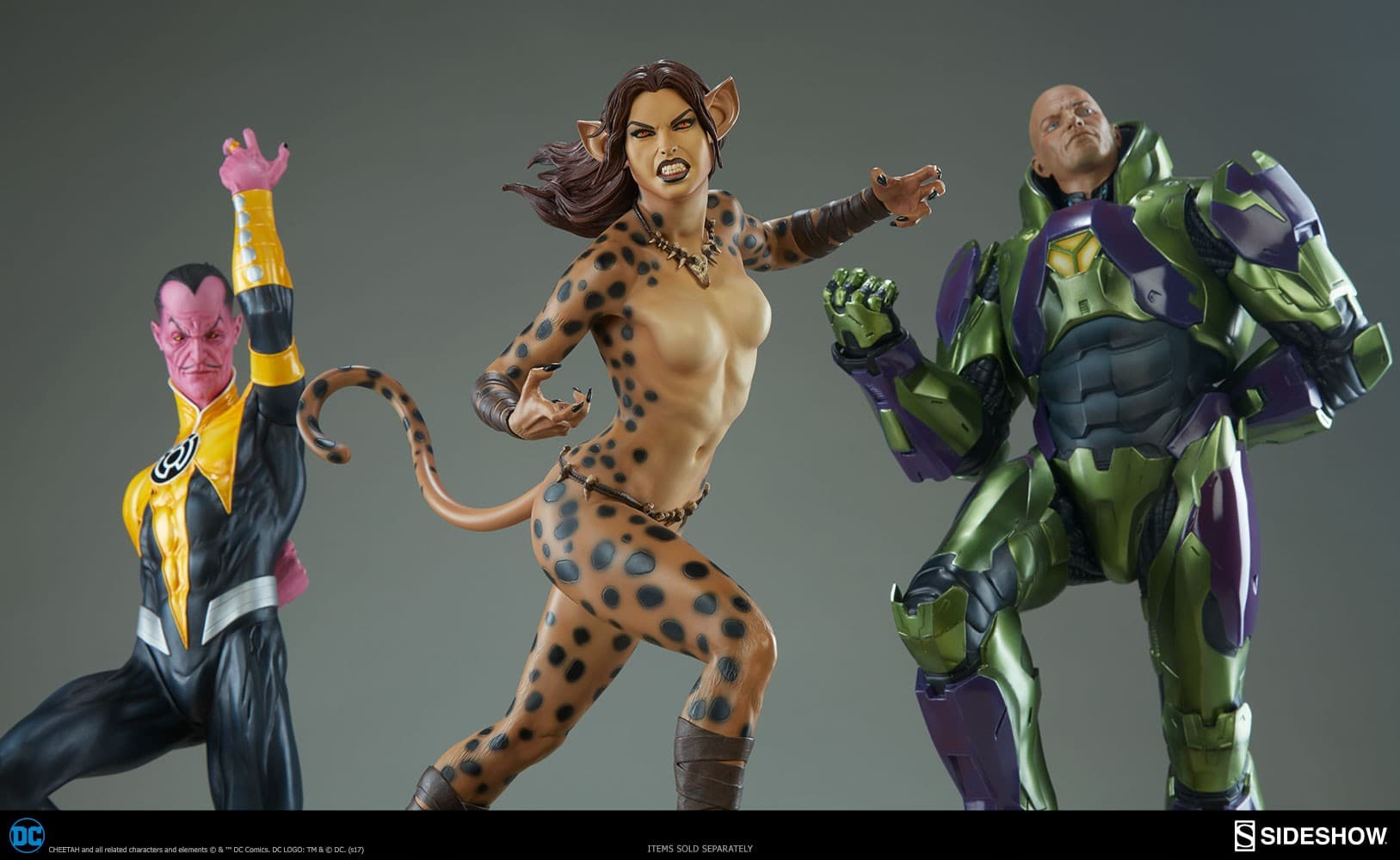 cheetah (Collector Edition) - premium format - Vue 24