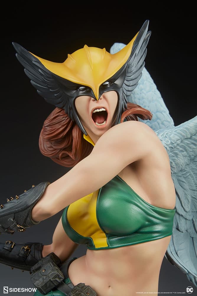 hawkgirl - premium format - exclusive edition  - Vue 19