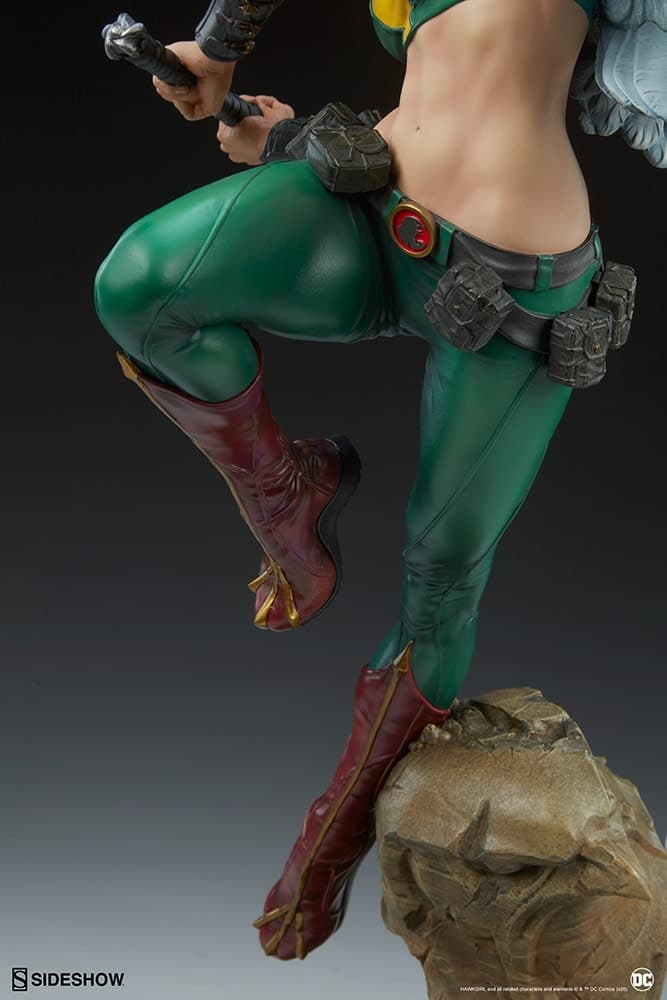 hawkgirl - premium format - exclusive edition  - Vue 22