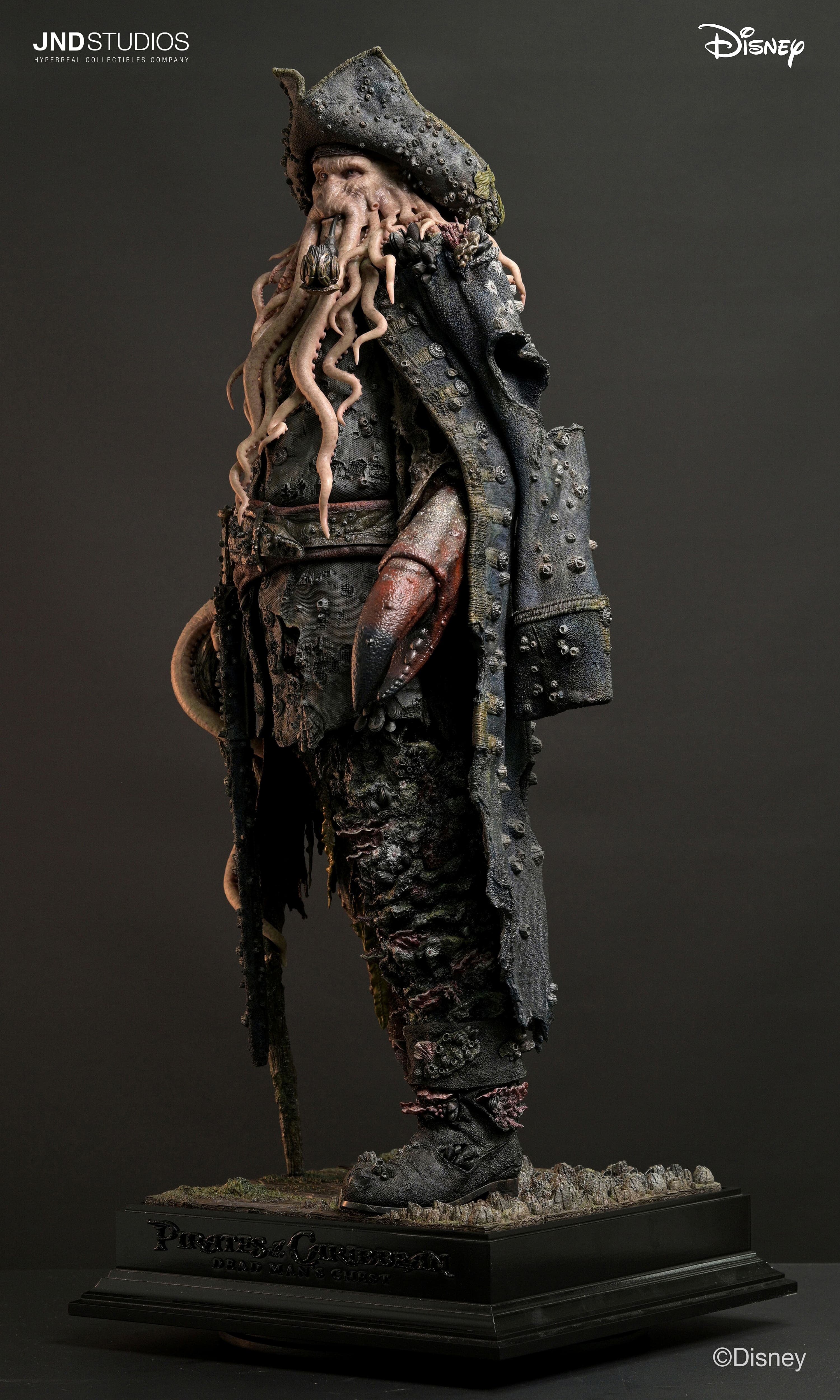 Davy Jones - Vue 8