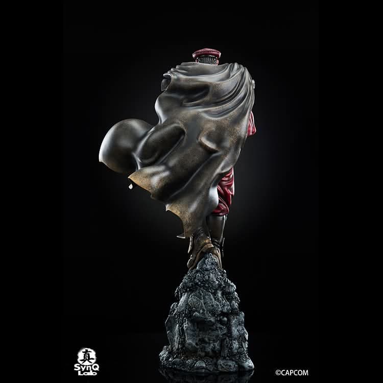 M.Bison - Vue 5