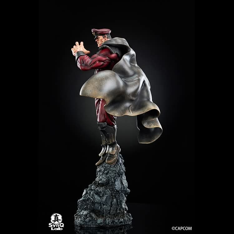 M.Bison - Vue 6