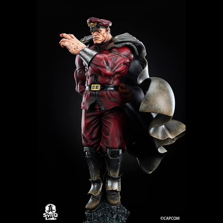 M.Bison - Vue 8