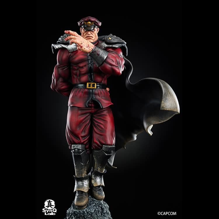 M.Bison - Vue 9
