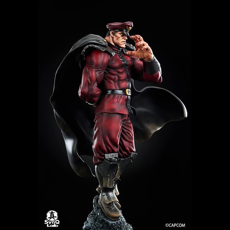 M.Bison - Vue 10