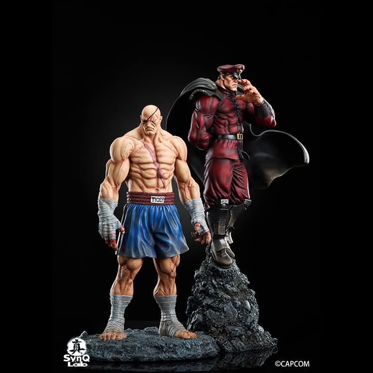 M.Bison - Vue 11