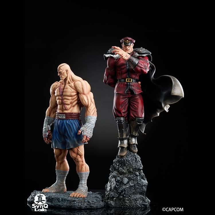 M.Bison - Vue 12