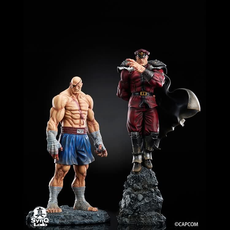 M.Bison - Vue 13