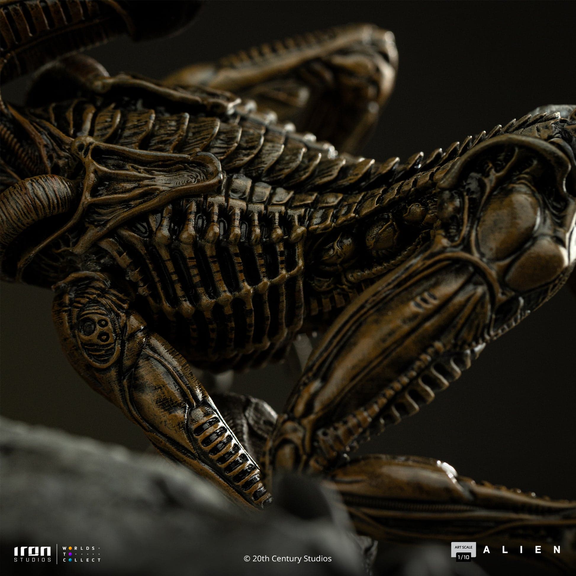 Ellen Ripley & Dog Alien - Vue 8