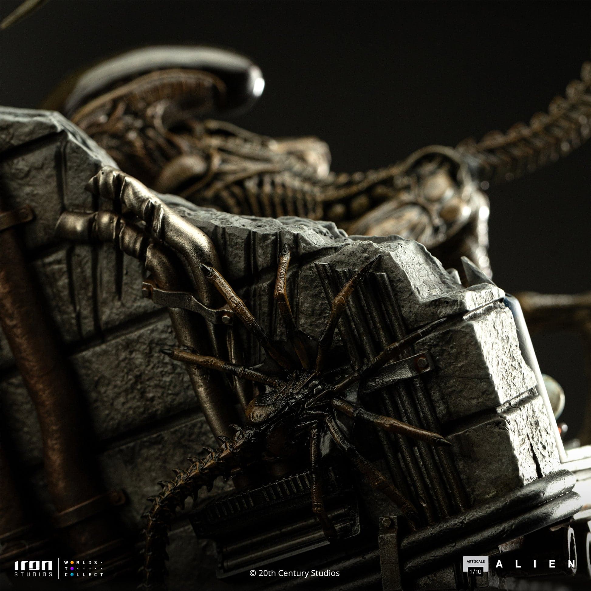 Ellen Ripley & Dog Alien - Vue 11