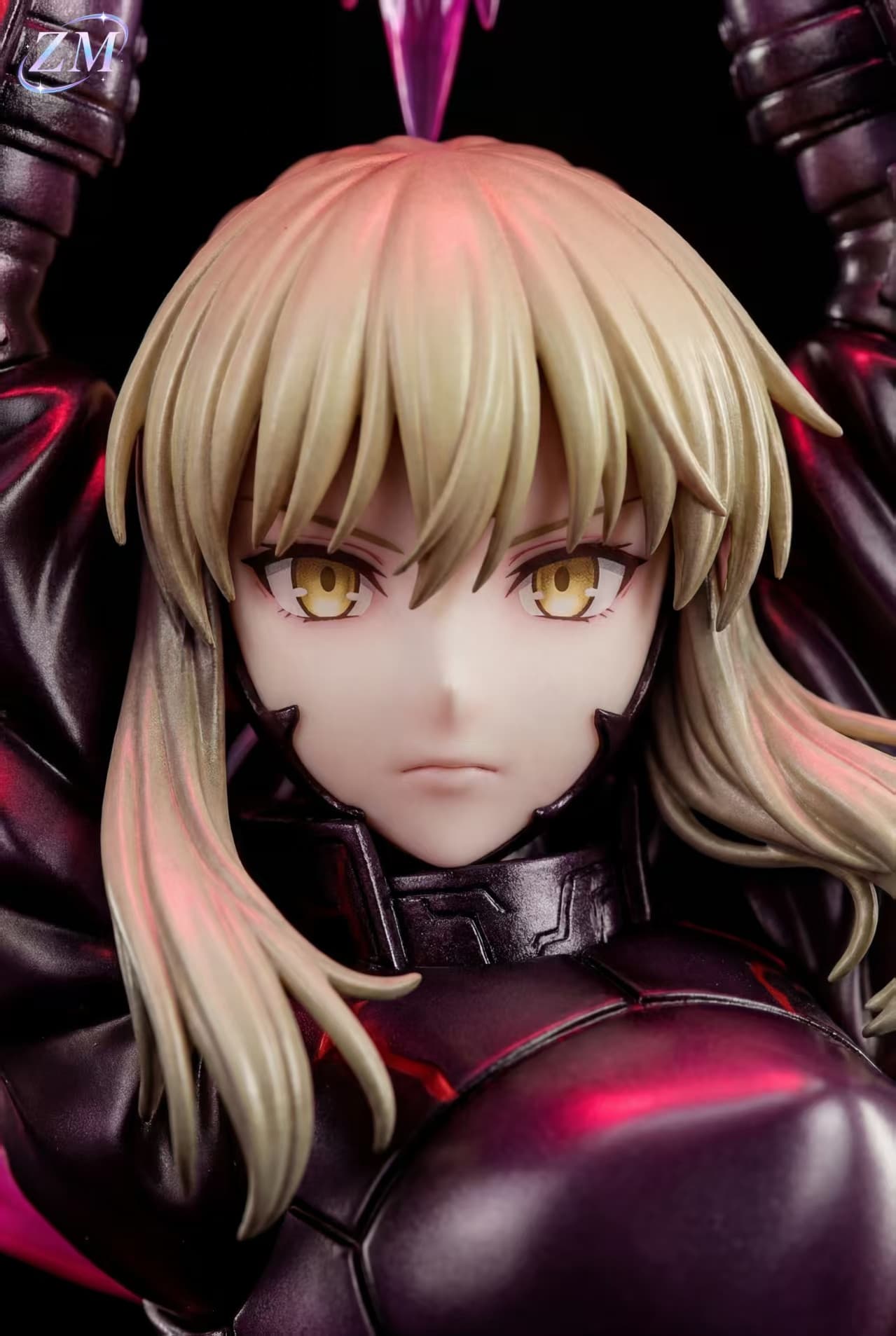 Saber Alter - Vue 5
