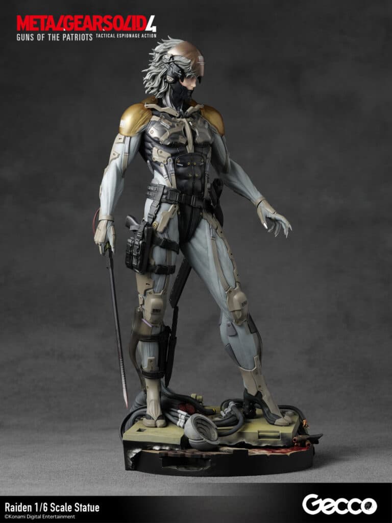 Raiden - Vue 8