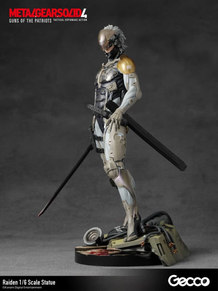 Raiden - Vue 10