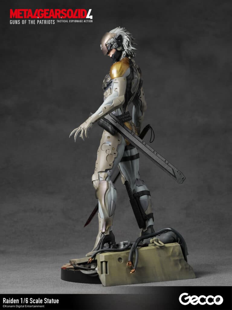 Raiden - Vue 11