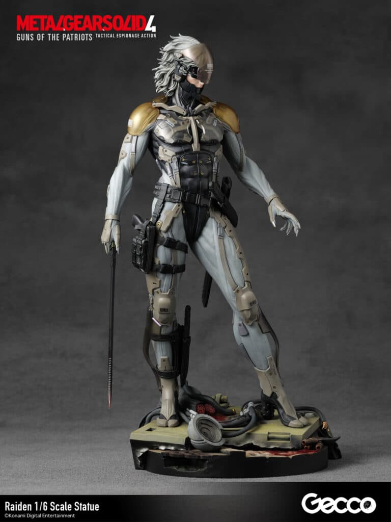 Raiden - Vue 12