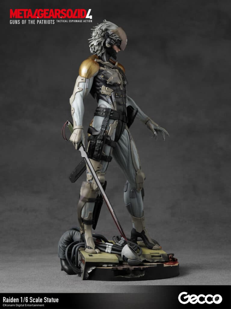 Raiden - Vue 13