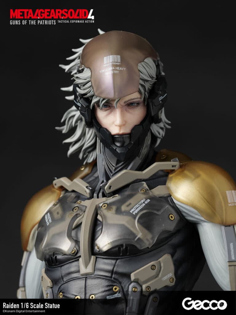 Raiden - Vue 14