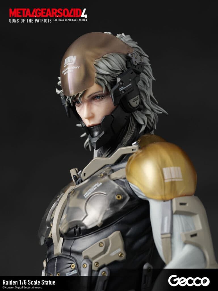 Raiden - Vue 15