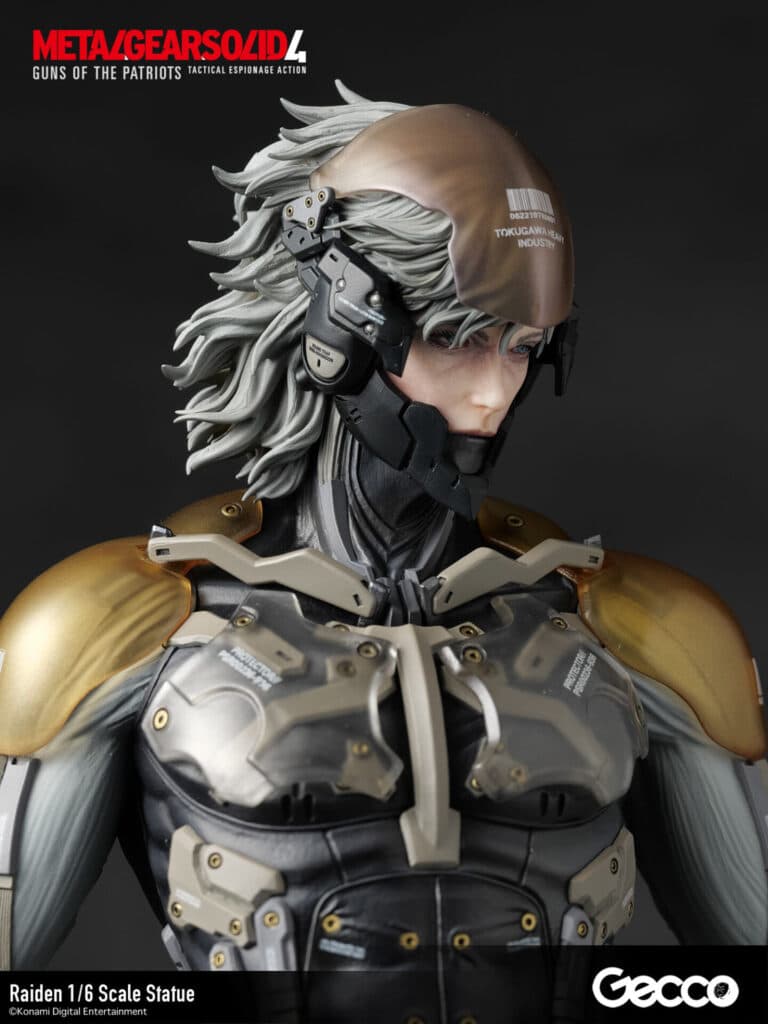 Raiden - Vue 16