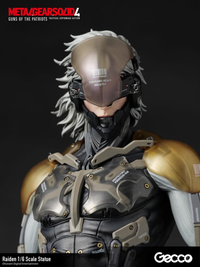 Raiden - Vue 17