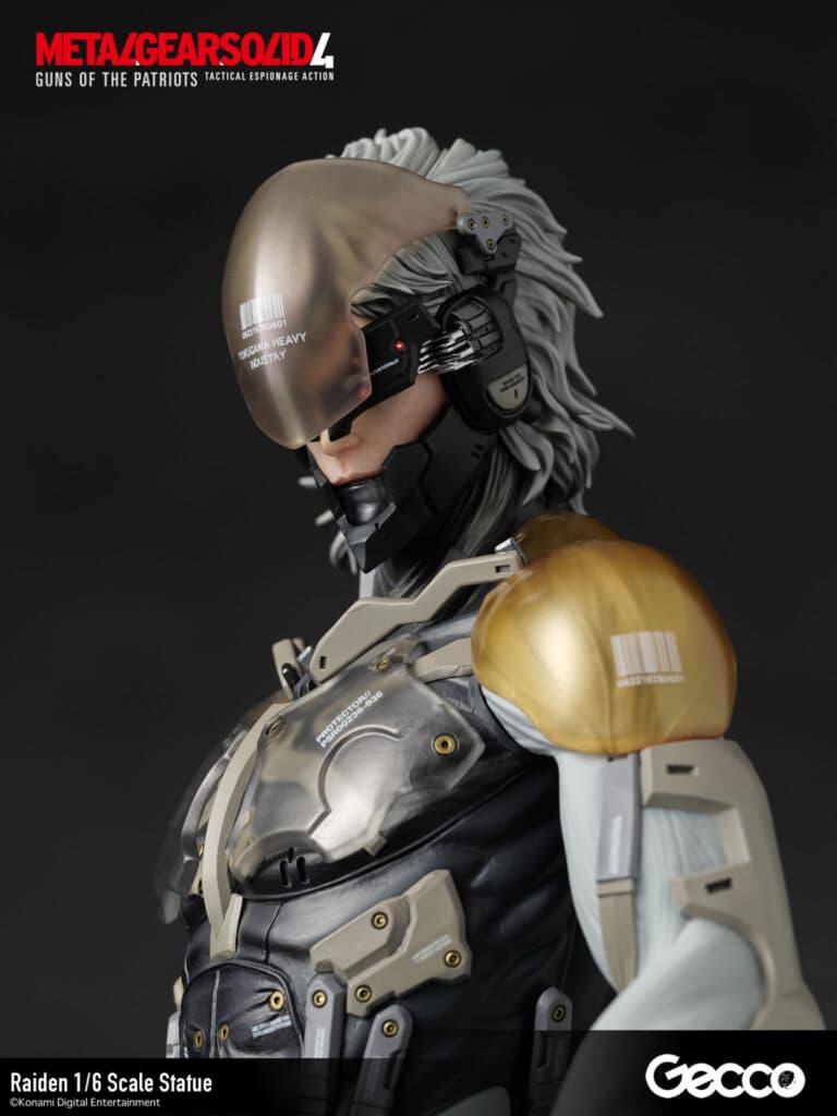 Raiden - Vue 18
