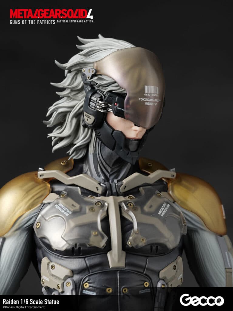 Raiden - Vue 19