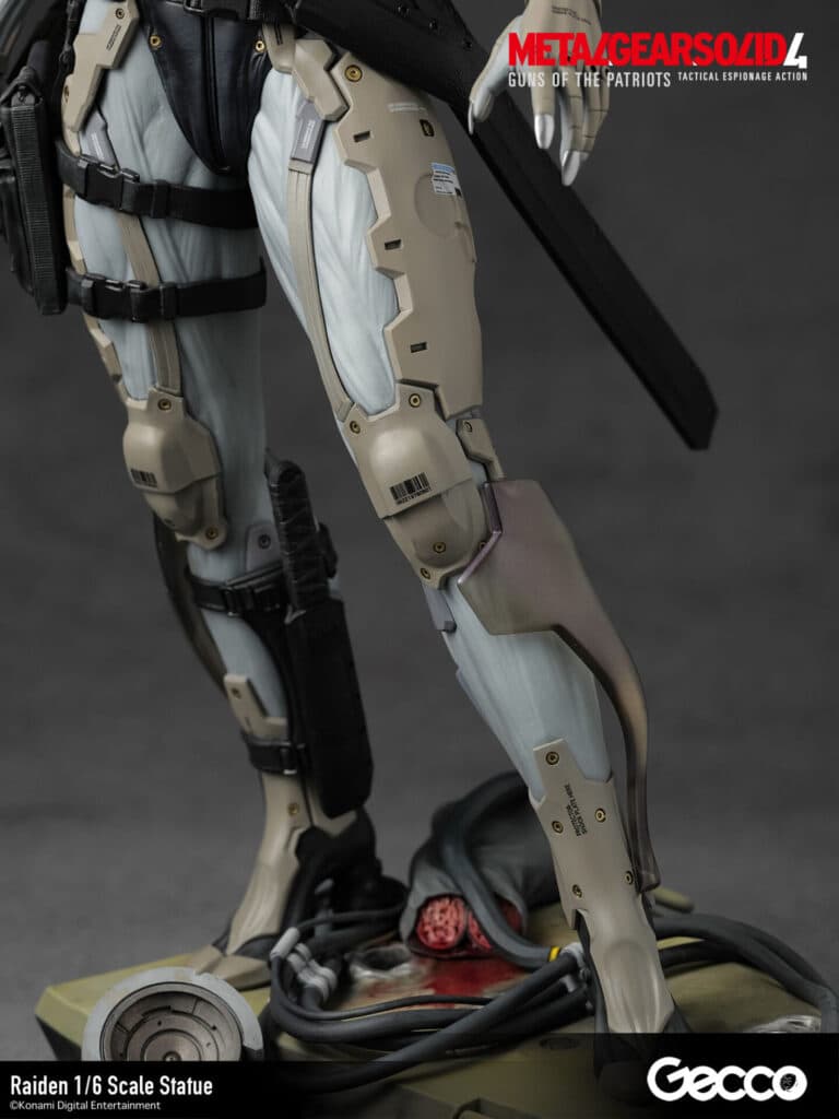 Raiden - Vue 20