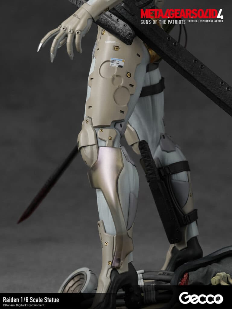Raiden - Vue 21