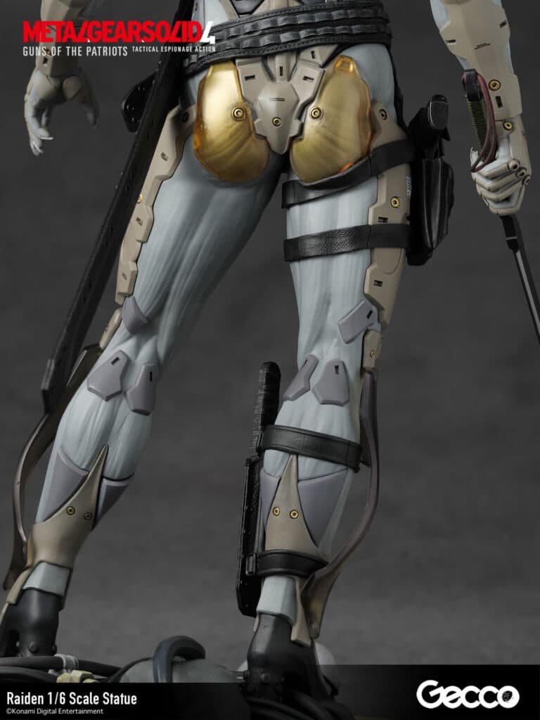 Raiden - Vue 23