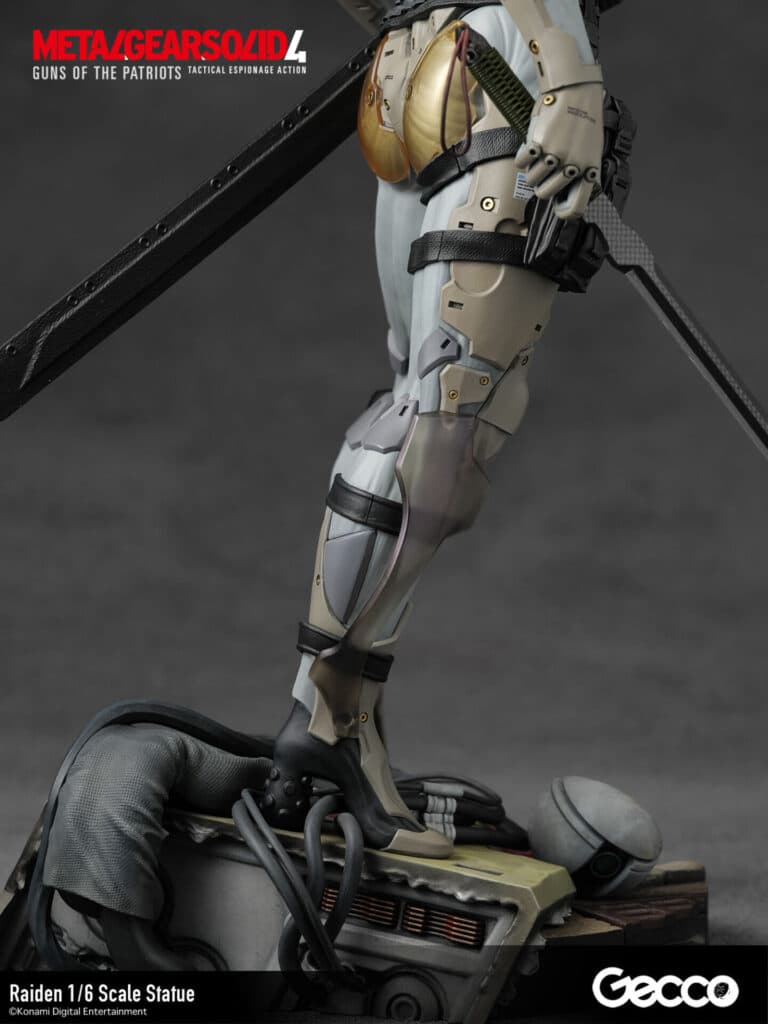 Raiden - Vue 24