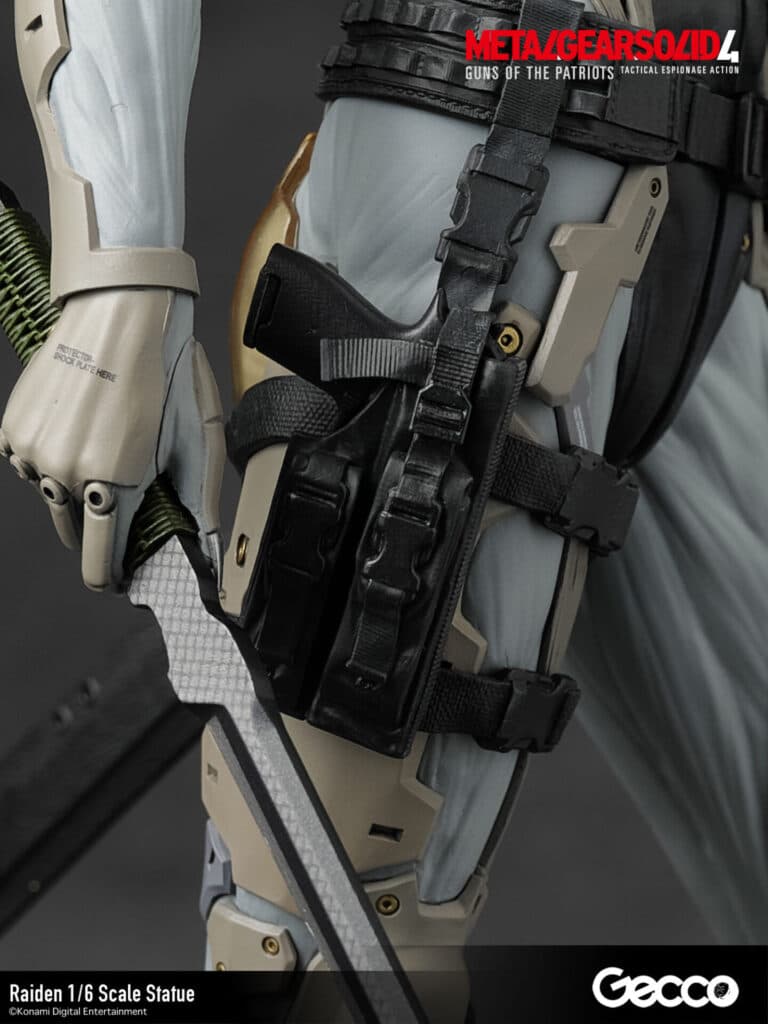 Raiden - Vue 25