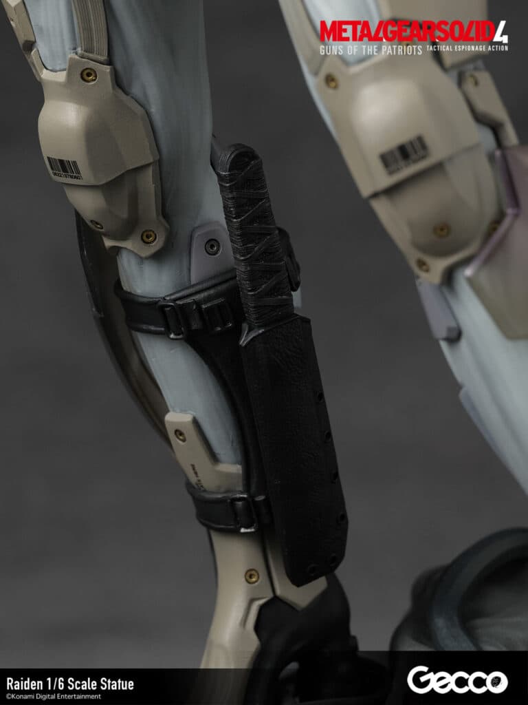 Raiden - Vue 26