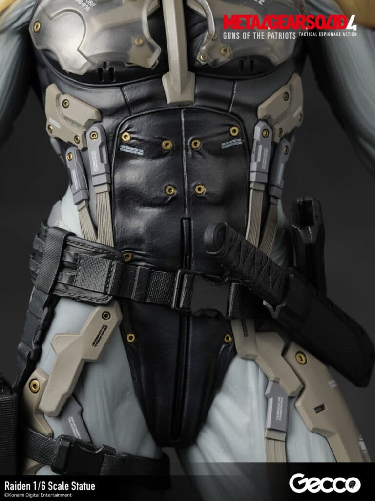 Raiden - Vue 27
