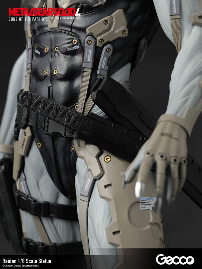 Raiden - Vue 28