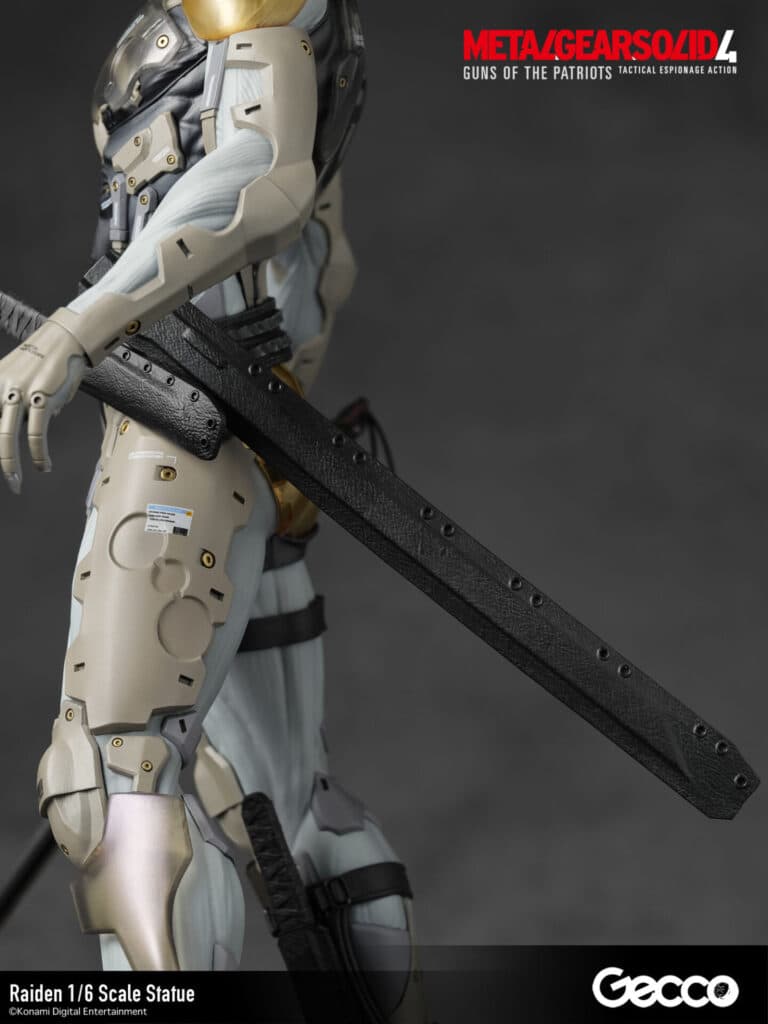 Raiden - Vue 29