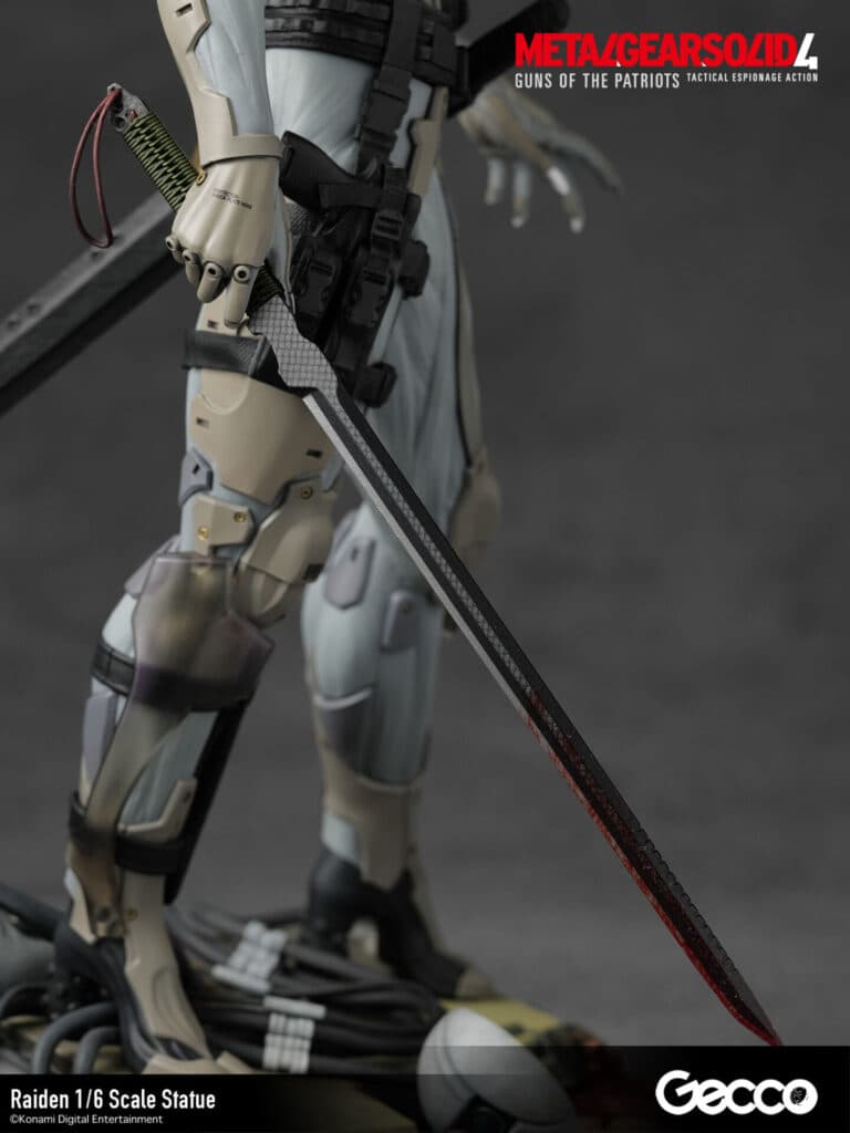 Raiden - Vue 30