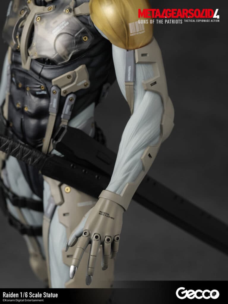 Raiden - Vue 31
