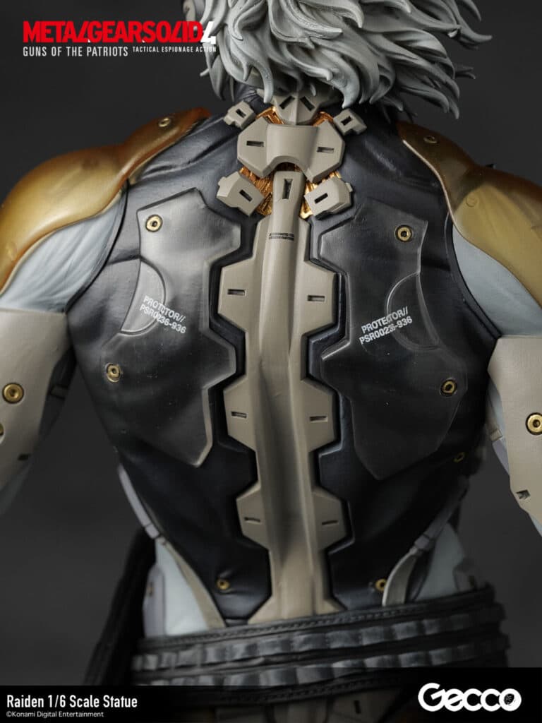 Raiden - Vue 33