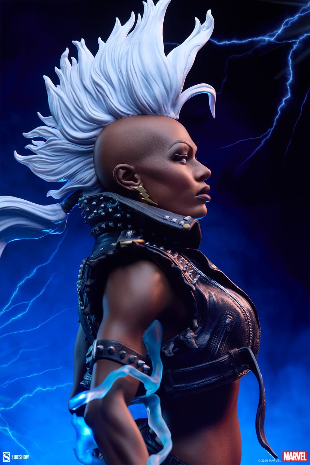 Storm - Premium Format - Vue 5