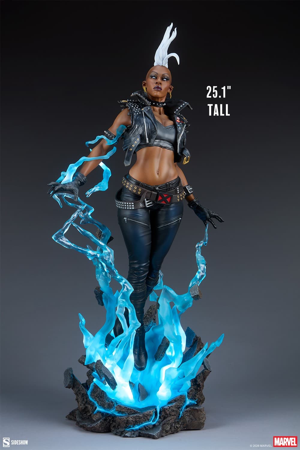 Storm - Premium Format - Vue 6