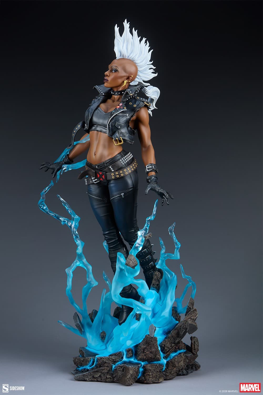 Storm - Premium Format - Vue 8