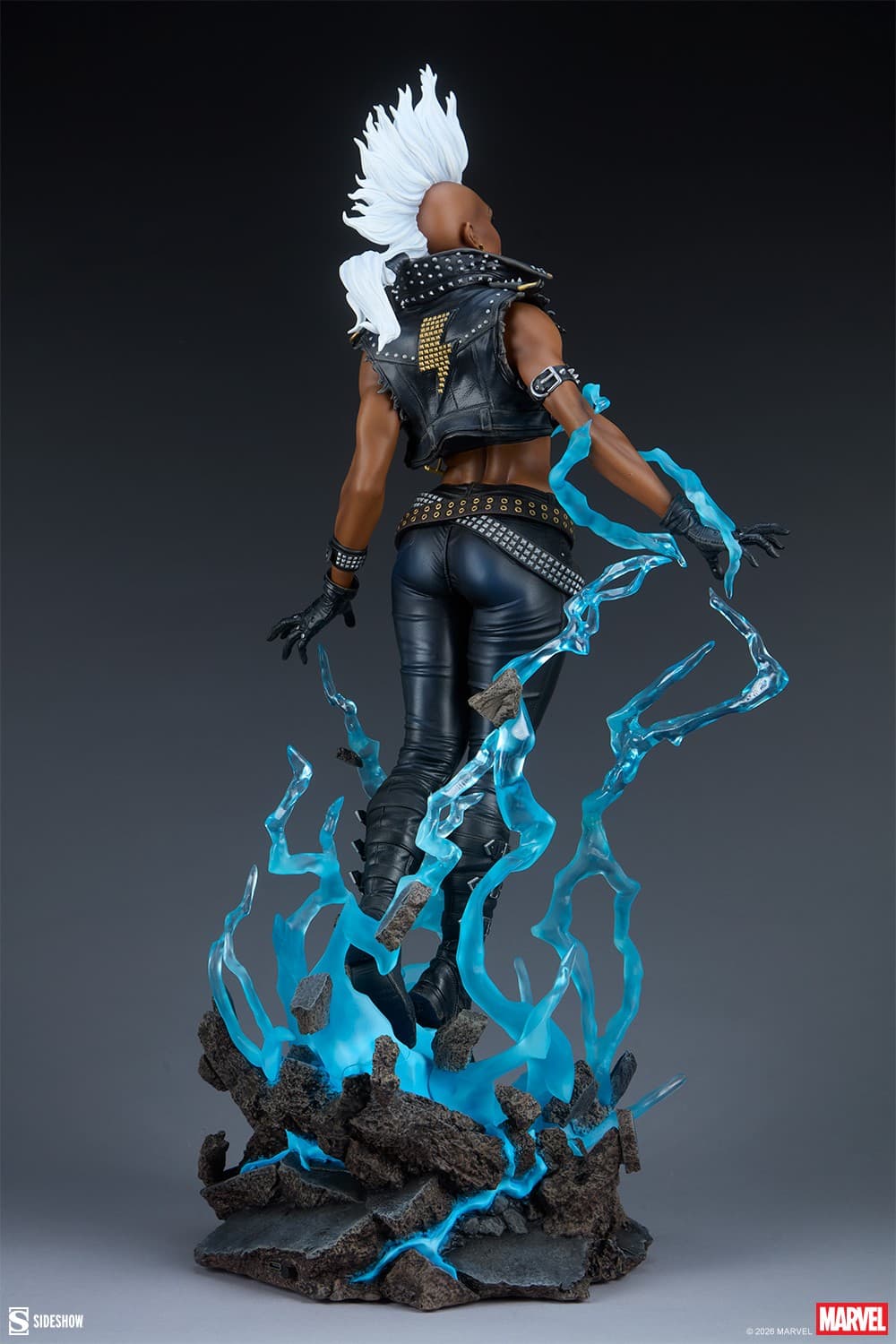 Storm - Premium Format - Vue 9